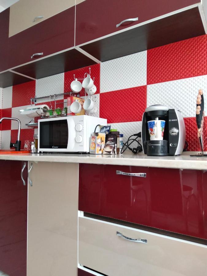 Apartament Geo Nehoiu Exterior foto